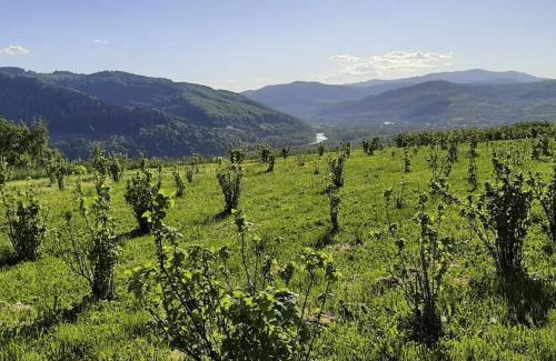 Łacko Casa | Maszkowice Domek nad Dunajcem na szczycie gory