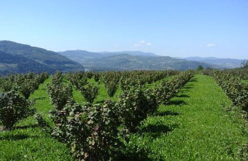 Łacko Casa | Maszkowice Domek nad Dunajcem na szczycie gory