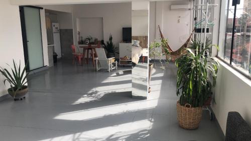 Tropical Lowlands Apartamento | Matony