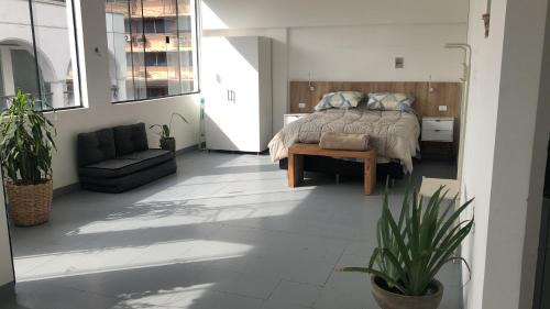 Tropical Lowlands Apartamento | Matony