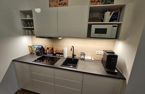 Alsergrund Apartamento | Mauthaus Lichtenstein