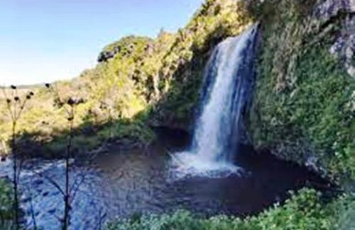 Aberdare National Park Casa | Maverick Camp, Rondavels and Homestay