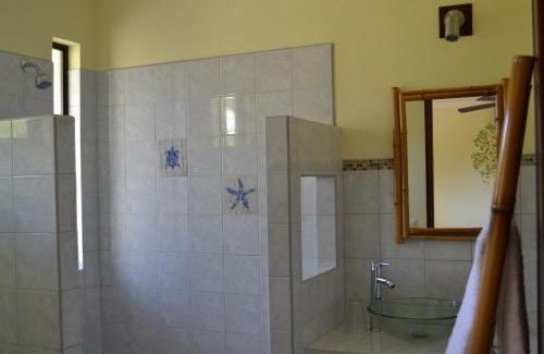 Dominical Hotel | Mavi Surf Hotel Dominical