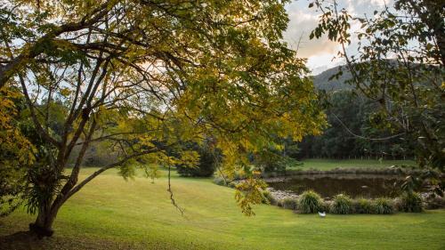 Mount Warning Apartamento | Mavis's Cabins @ Mt Warning