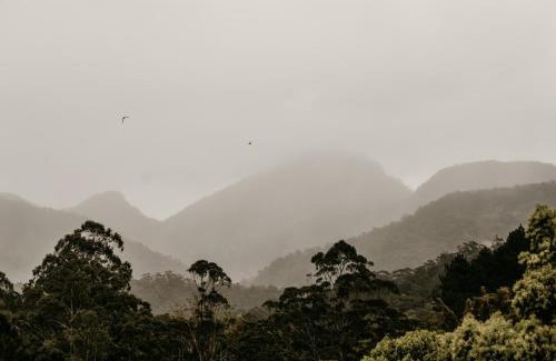 Mount Warning Apartamento | Mavis's Cabins @ Mt Warning