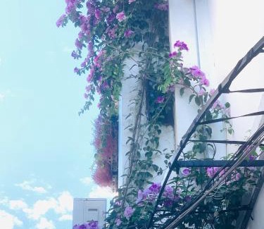 Cam Pho Cama Y Desayuno | May's House Hoi An