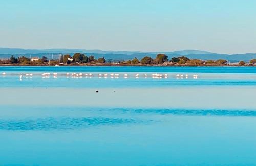 Marseillan Casa | Mazet NiMiSa