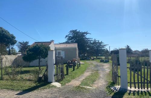 Marseillan Casa | Mazet NiMiSa