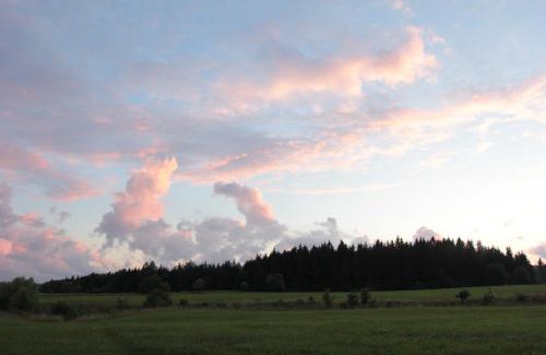 Kowale Oleckie Casa | Mazury Garbate. Dom II przy Cisowym Jarze