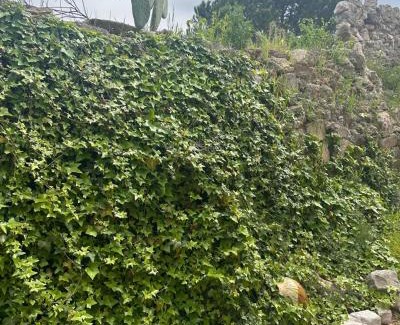 Giovinazzo Villa | Mbacc a mar