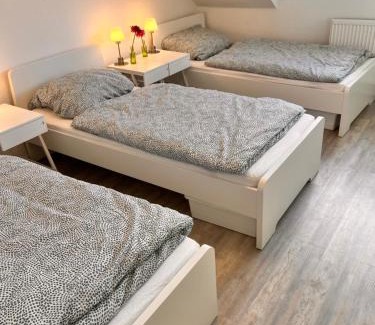 Lich Apartamento | MC MONTI Gießen - Lich, 70qm, Zentral, NETFLIX