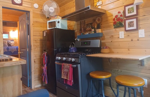 McKenzie Bridge Cabina | Mckenzie Riverfront Tiny Cabin near Hoodoo, Hotsprings & Loloma!