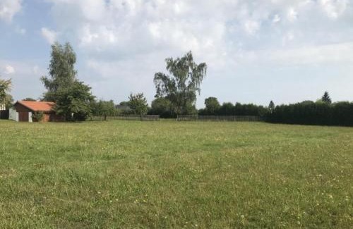 Tabor Otro | Meadow by the forest