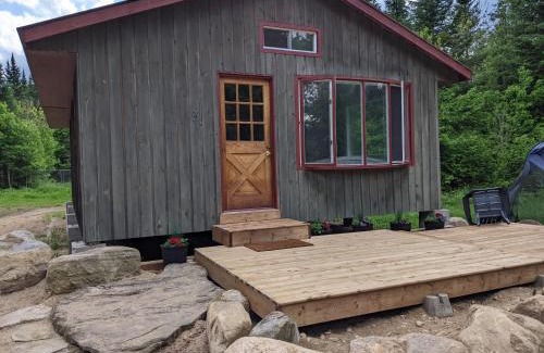Hastings Highlands Otro | Meadowlark Cabin #5