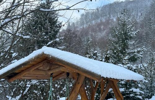 Zetea Casa | Medve Desag Ursul