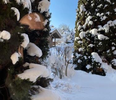 Demi-Quartier Chalet De Esquí | Megève - Chalet Miage
