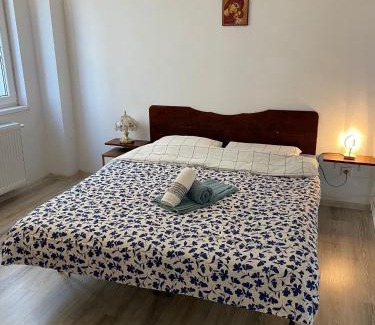 Ocna Sibiului Apartamento | Melinte Maria