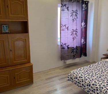 Ocna Sibiului Apartamento | Melinte Maria
