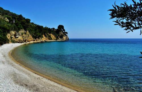 Alonissos Casa | Meltemi Appartment