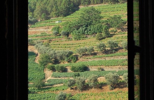 Bomfim Casa | Casa Mendiz - Duero