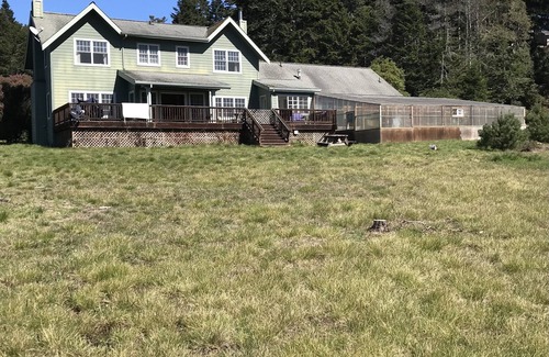 Mendocino Casa | MONTHLY MENDO LUXURY OCEAN VIEW COASTAL ESTATE, DOG FRIENDLY, 1 MILE TO VILLAGE!