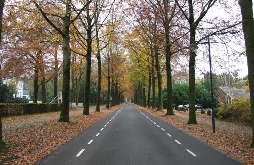 Velp Cama Y Desayuno | Meneer Pos