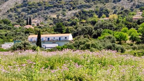 Angon Apartamento | Menia