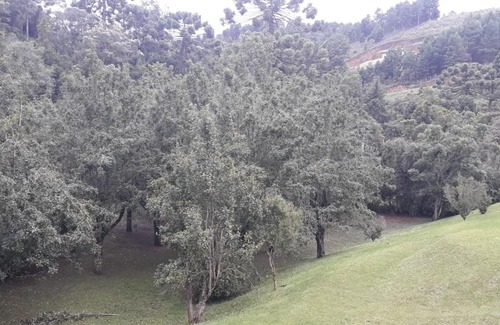 Abernessia Apartamento | Merano