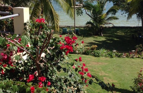 Corozal Casa | Mermaid Manor! An Island, Pool and Tropical Heaven!