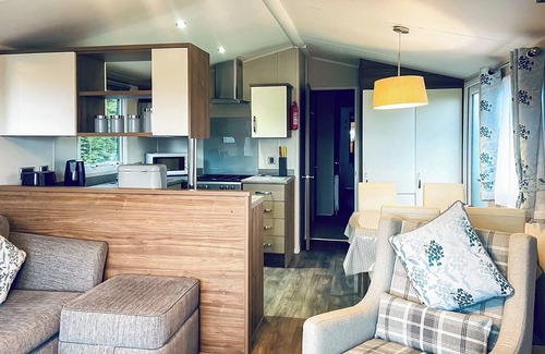 Newton Stewart Casa | Merrick Platinum Caravan