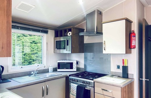 Newton Stewart Casa | Merrick Platinum Caravan