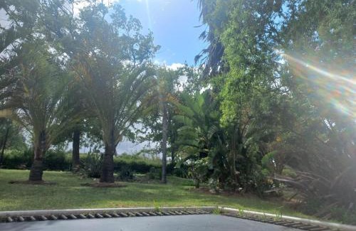 Bonnievale Cama Y Desayuno | Merwenstein - Farm House, Cottages, Studio-Units