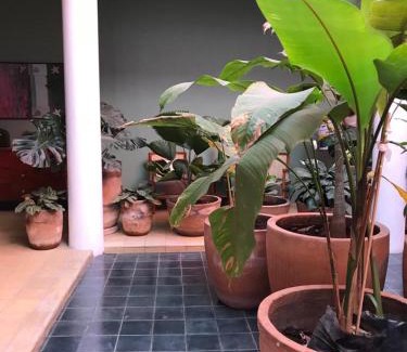 Centro de Guadalajara Apartamento | Mesón San Felipe