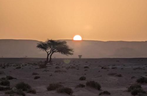 M'Hamid El Ghizlane Otro | Mhamid Sahara Camp - Mhamid El Ghizlane