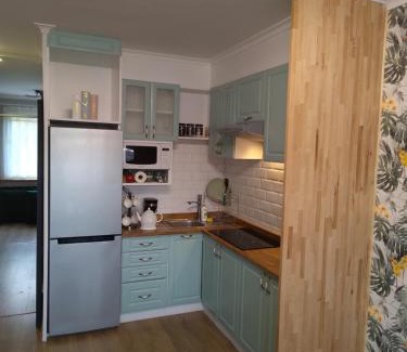 Zywiec Apartamento | Miętówka