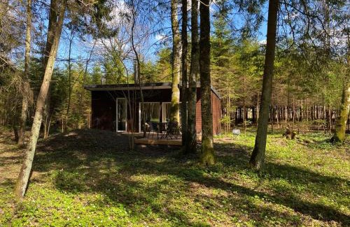 Kurtuvenai Casa | Miško sielos namelis su pirtele