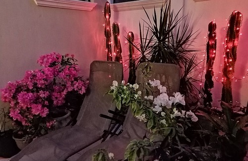 Zona Paseo Montejo Apartamento | Mi Ca-Sa En Mérida