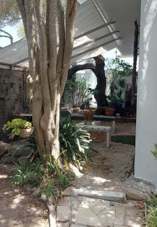 Los Caños de Meca Complejo | Mi Cachito