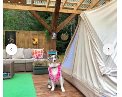 Haljala Parish Otro | Miami Jungle Glamping