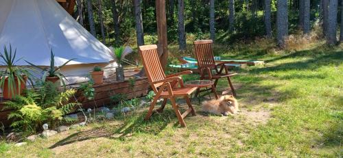 Haljala Parish Otro | Miami Jungle Glamping