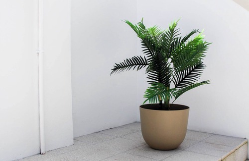 Se Nova Apartamento | MiCasa Studios