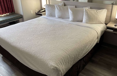 Clarksville Hotel | Microtel Inn & Suites by Wyndham Clarksville