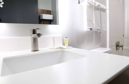 Paw Creek Hotel | Microtel Inn & Suites by Wyndham Charlotte/Northlake