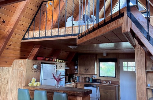 Running Springs Apartamento | Mid-century Modern A-frame Time Capsule