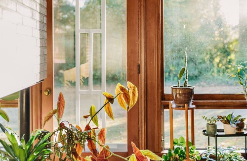 Wade Hampton Casa | Mid Century Modern Time Capsule….3 miles to downtown Greenville!
