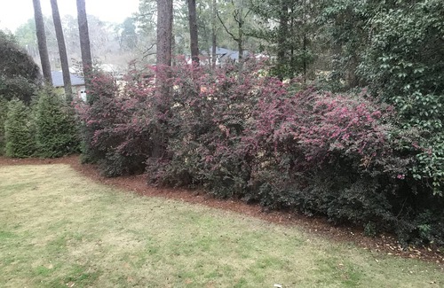 Aiken Casa | Mid century ranch located in quiet Aiken Estates