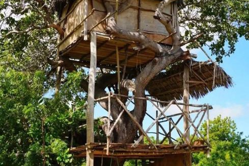 Gede Otro | Mida Creek Nature Camp