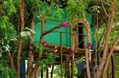 Gede Otro | Mida Creek Nature Camp