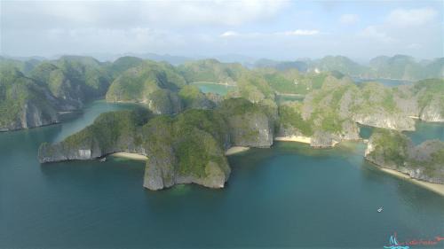 Cat Hai Alquiler De Eote | Midori Preminum Cruise in Ha Long Bay