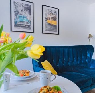 Krasnik Apartamento | Mieszkanie do wynajęcia Kraśnik